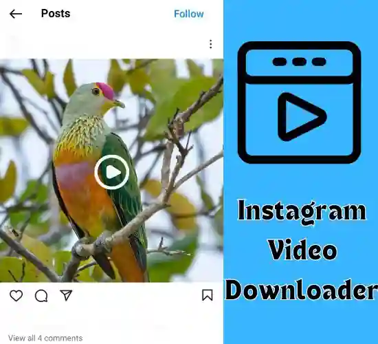 instavideosave video downloader